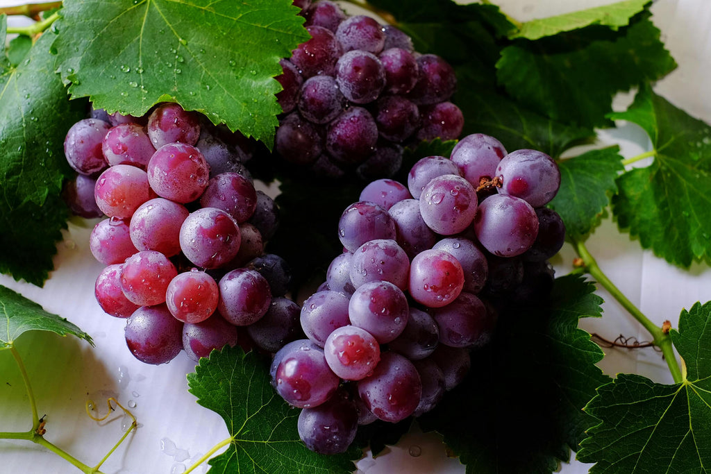 Why Red Grapes Are a Game-Changer in Anti-Aging Collagen Supplements