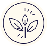 Icon 1